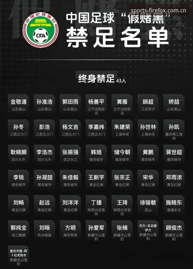 火狐体育平台攻略 看懂足协禁足名单的实用指南——从处罚细节看中国足球的自我净化